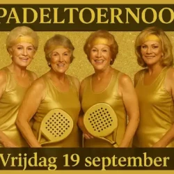 Baan Vier's logo