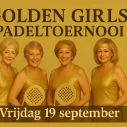 Baan Vier's logo