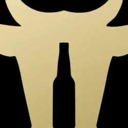 Valley Padel - Nijverdal's logo