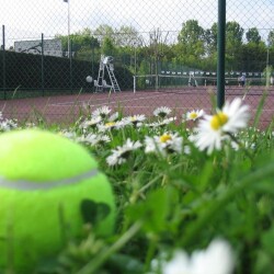 Tennisvereniging Osdorp's logo